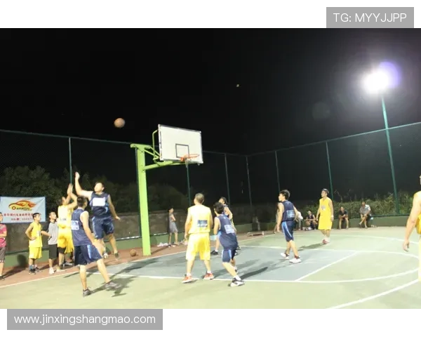 广州排球队转型纪实：从传统到现代的奋斗与蜕变之路