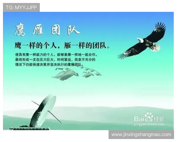 广州乒乓球队个人能力提升之路与团队协作的重要性探讨