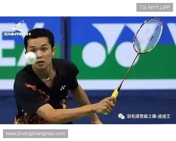 对话王娜：回顾羽毛球生涯的辉煌与挑战之路
