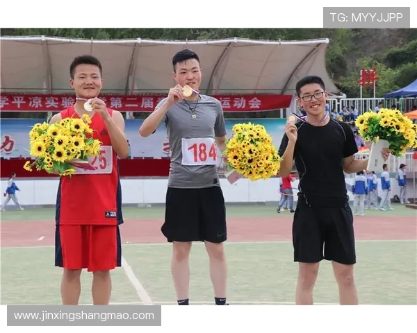 广州篮球队：团结协作铸就辉煌成就的背后故事与启示