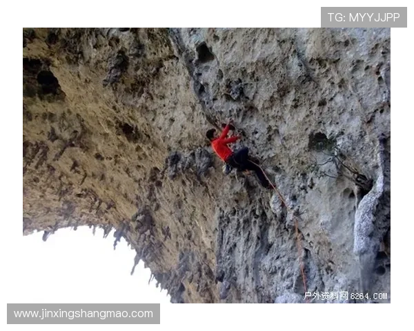 成都攀岩队实力强劲荣登全国攀岩实力排行榜第二名