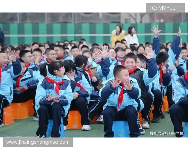 成都乒乓球队的奋斗与荣耀之路杯赛特别报道 成都乒乓球队的奋斗与荣耀之路杯赛特别报道