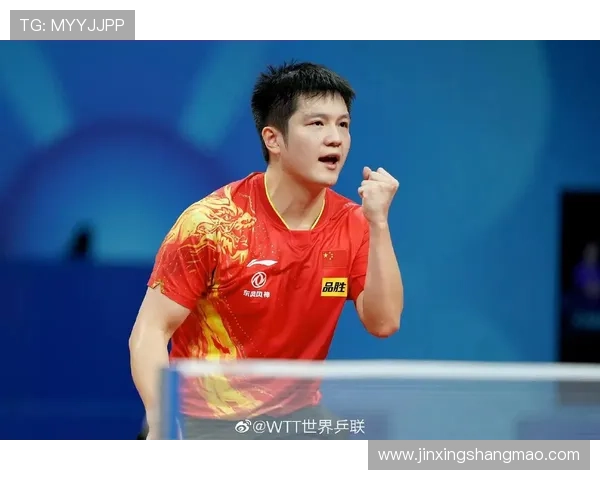 成都乒乓球队区域防守策略分析与比赛表现的得失总结