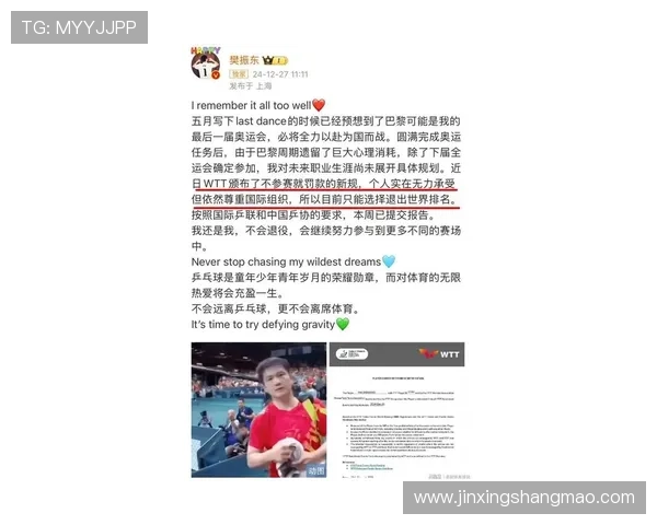 武汉乒乓球队在世锦赛中的技术表现分析与未来展望